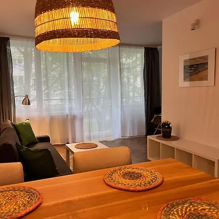 Przytulne Stare Apartament *